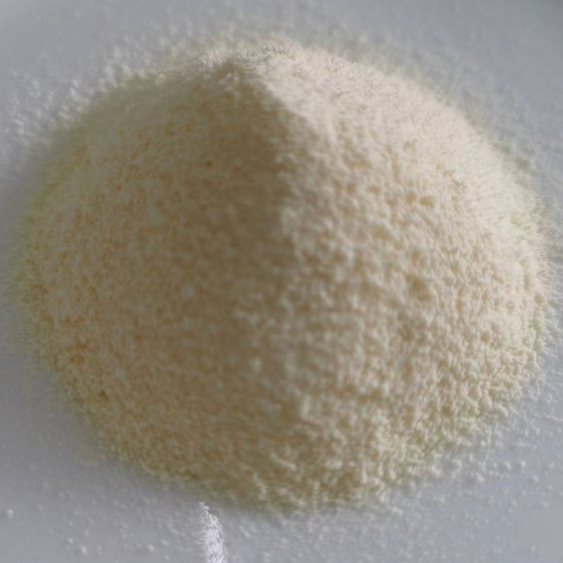 抗優格精如何改善您的消化系統健康？